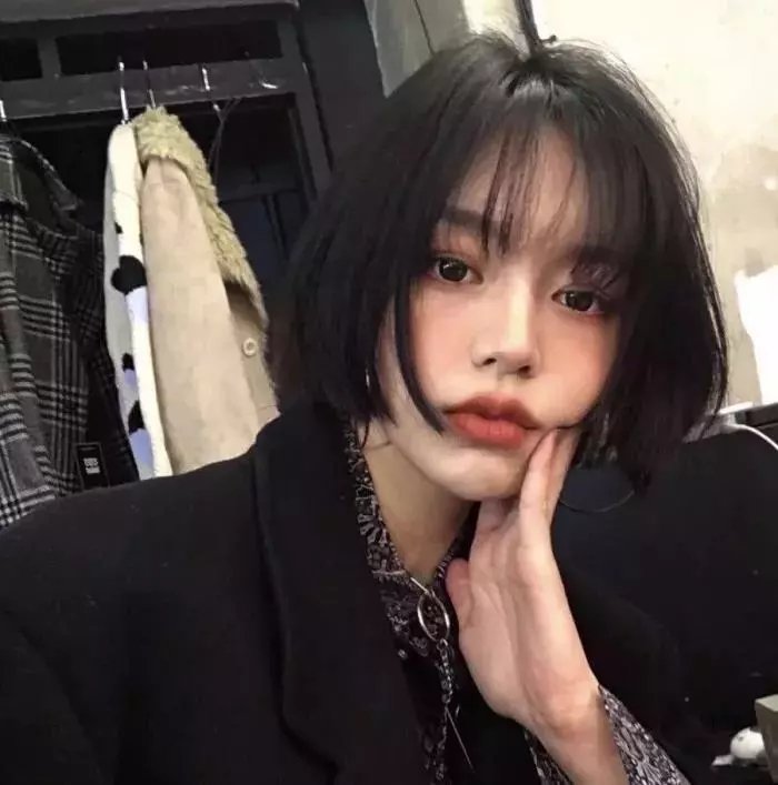 粉红火鹤